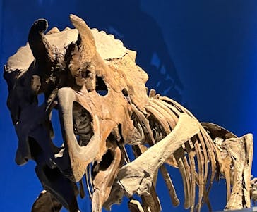 特別展「恐竜博2023」に投稿された画像（2023/4/16）