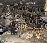 国立科学博物館に投稿された画像（2023/4/16）