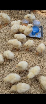 Moff animal cafe MARKIS 福岡ももち店に投稿された画像（2023/4/16）