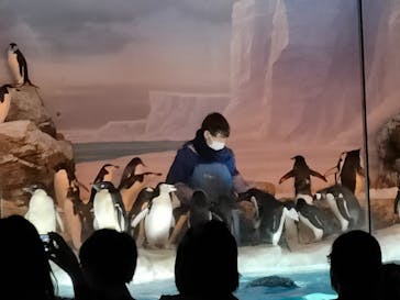 名古屋港水族館に投稿された画像（2023/4/16）