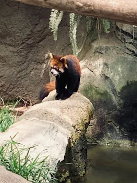 神戸どうぶつ王国に投稿された画像（2023/4/16）