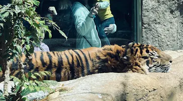 神戸どうぶつ王国に投稿された画像（2023/4/16）