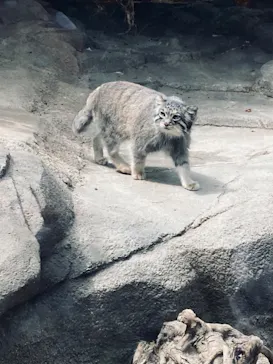 神戸どうぶつ王国に投稿された画像（2023/4/16）