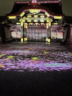 『NAKED FLOWERS 2023 桜 世界遺産・二条城』に投稿された画像（2023/4/16）