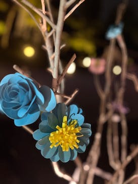 『NAKED FLOWERS 2023 桜 世界遺産・二条城』に投稿された画像（2023/4/16）