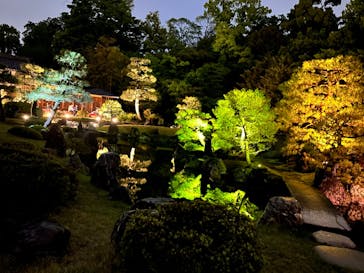 『NAKED FLOWERS 2023 桜 世界遺産・二条城』に投稿された画像（2023/4/16）