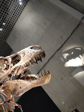 特別展「恐竜博2023」に投稿された画像（2023/4/16）