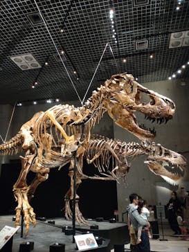 特別展「恐竜博2023」に投稿された画像（2023/4/16）