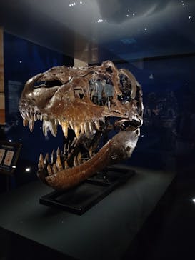 特別展「恐竜博2023」に投稿された画像（2023/4/16）