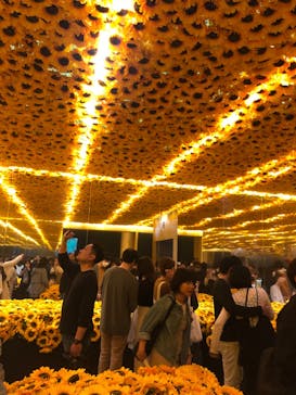 ゴッホ・アライブ神戸に投稿された画像（2023/4/16）