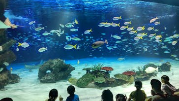 サンシャイン水族館に投稿された画像（2023/4/16）