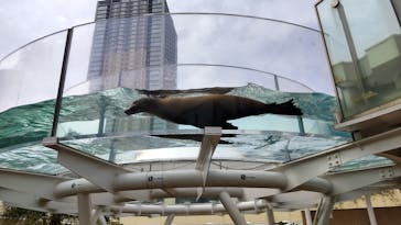 サンシャイン水族館に投稿された画像（2023/4/16）