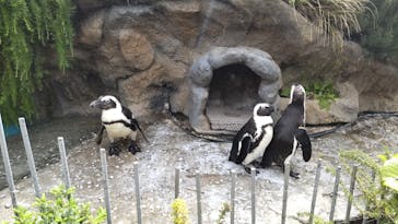 サンシャイン水族館に投稿された画像（2023/4/16）