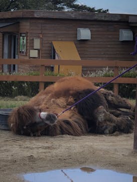 那須どうぶつ王国に投稿された画像（2023/4/16）