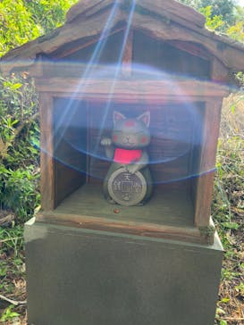 西武園ゆうえんちに投稿された画像（2023/4/16）