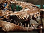 特別展「恐竜博2023」に投稿された画像（2023/4/16）