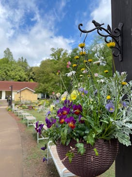 ムーミンバレーパークに投稿された画像（2023/4/16）