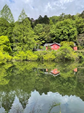 ムーミンバレーパークに投稿された画像（2023/4/16）