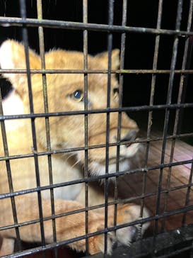 那須サファリパークに投稿された画像（2023/4/16）