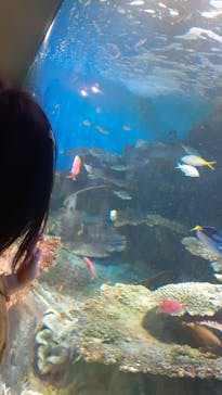 しながわ水族館に投稿された画像（2023/4/16）