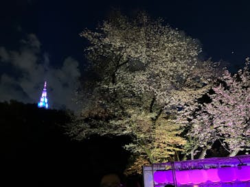 NAKED 桜の新宿御苑 2023に投稿された画像（2023/4/16）