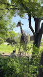 天王寺動物園に投稿された画像（2023/4/16）