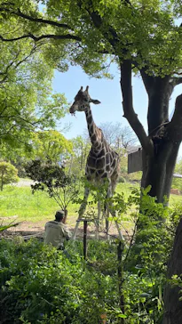 天王寺動物園に投稿された画像（2023/4/16）