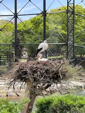 天王寺動物園に投稿された画像（2023/4/16）