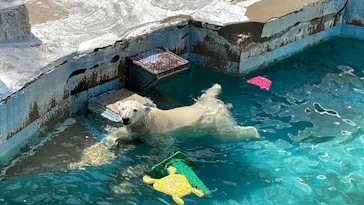 天王寺動物園に投稿された画像（2023/4/16）