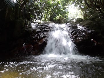 スローダイブ石垣島に投稿された画像（2023/4/16）