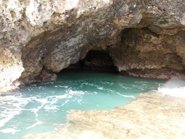 スローダイブ石垣島に投稿された画像（2023/4/16）