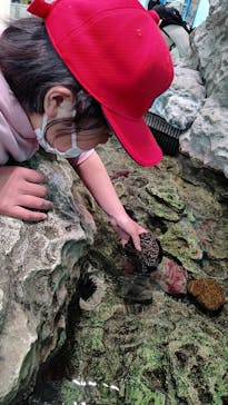 島根県立 しまね海洋館に投稿された画像（2023/4/16）