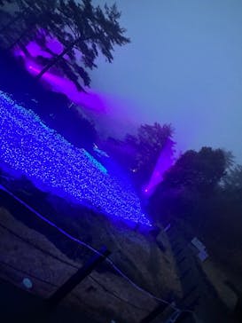 KYOTO ILLUMINATION SYNESTHESIA HILLS るり渓温泉に投稿された画像（2023/4/16）