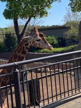 よこはま動物園ズーラシアに投稿された画像（2023/4/16）