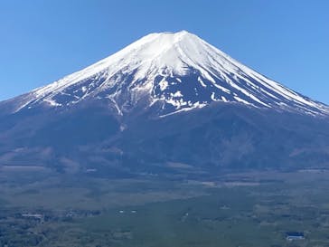 河口湖 音楽と森の美術館に投稿された画像（2023/4/16）