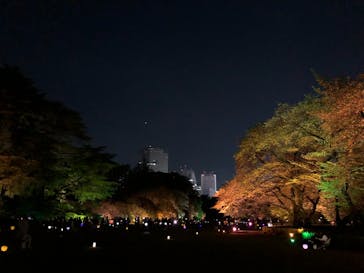 NAKED 桜の新宿御苑 2023に投稿された画像（2023/4/16）