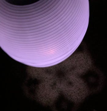 NAKED 桜の新宿御苑 2023に投稿された画像（2023/4/16）