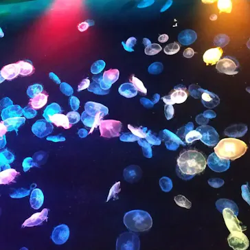 すみだ水族館に投稿された画像（2023/4/16）