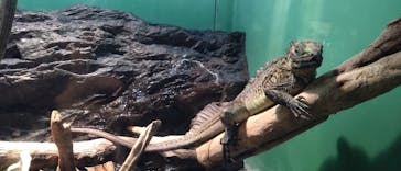 サンシャイン水族館に投稿された画像（2023/4/16）