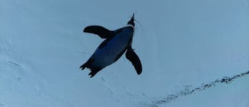 サンシャイン水族館に投稿された画像（2023/4/16）