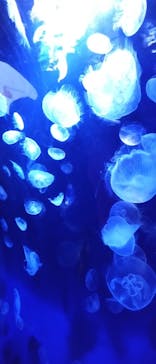 サンシャイン水族館に投稿された画像（2023/4/16）