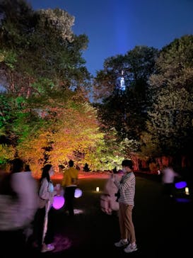 NAKED 桜の新宿御苑 2023に投稿された画像（2023/4/16）