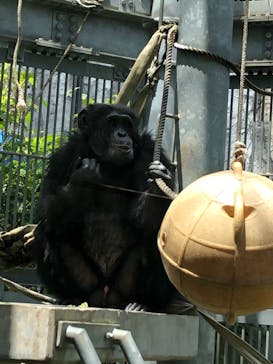 沖縄こどもの国に投稿された画像（2023/4/16）