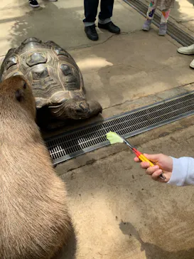 神戸どうぶつ王国に投稿された画像（2023/4/16）