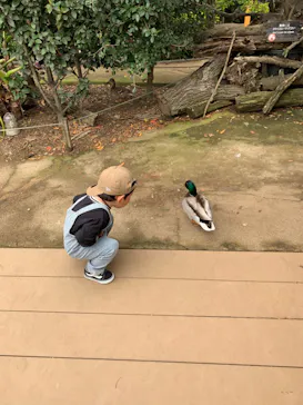 神戸どうぶつ王国に投稿された画像（2023/4/16）