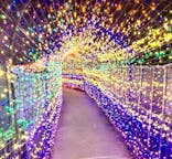 伊豆ぐらんぱる公園に投稿された画像（2023/1/9）