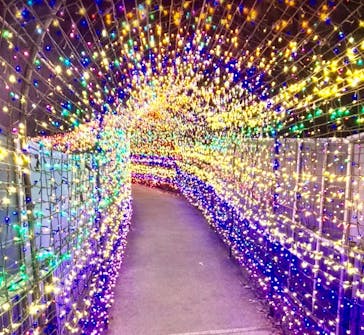 伊豆ぐらんぱる公園に投稿された画像（2023/1/8）