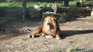 群馬サファリパークに投稿された画像（2023/4/17）