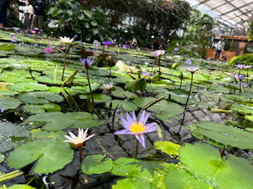 神戸どうぶつ王国に投稿された画像（2023/4/17）