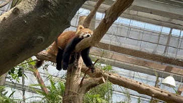 神戸どうぶつ王国に投稿された画像（2023/4/17）